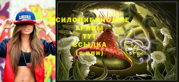 mdma Богданович