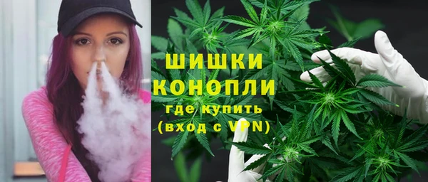 трава Богородицк
