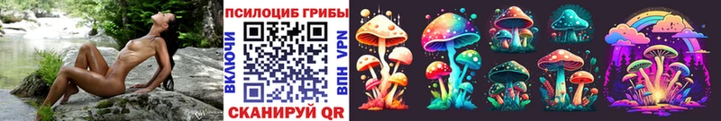 Галлюциногенные грибы GOLDEN TEACHER  Дальнегорск 